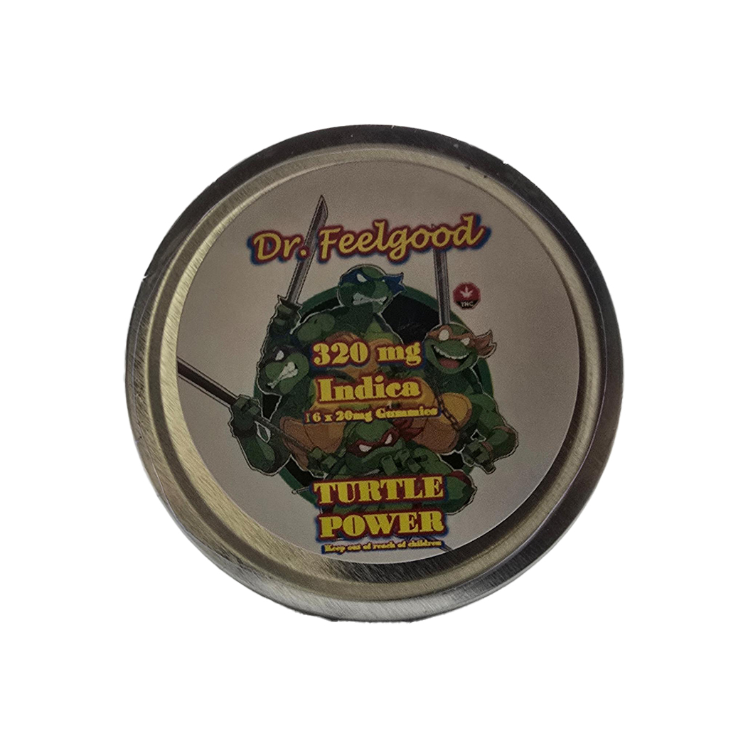 Dr. Wohlfühl – Turtle Power+
