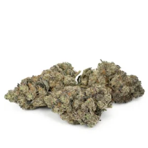 Cannabis-Trends