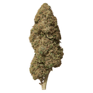 CBD in Dortmund