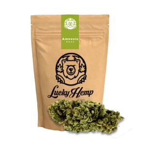 Amnesia Haze Ökopack