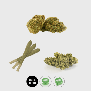 Dealers Choice Kit - nur 3.50€/g