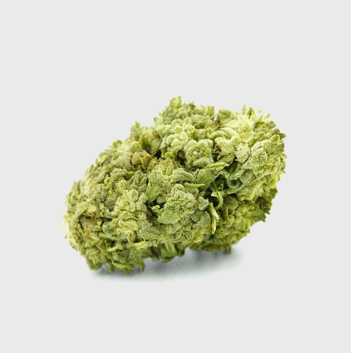 🧊🍪 Frosted Cookies 55% Superior