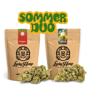Sommer Duo